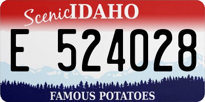 ID license plate E524028