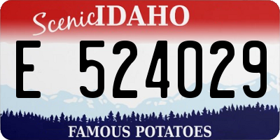 ID license plate E524029