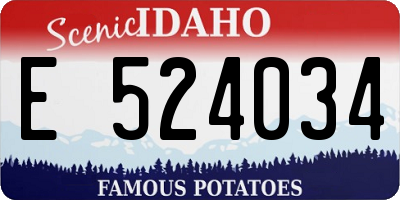 ID license plate E524034