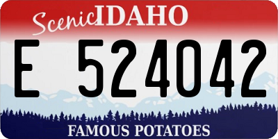 ID license plate E524042