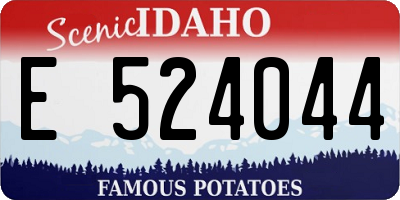 ID license plate E524044