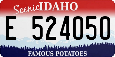 ID license plate E524050