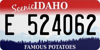 ID license plate E524062