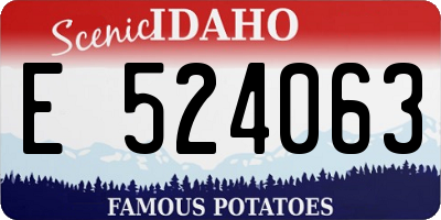 ID license plate E524063