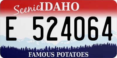 ID license plate E524064