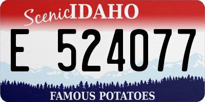ID license plate E524077