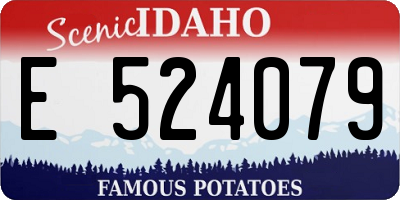ID license plate E524079