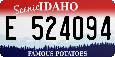 ID license plate E524094