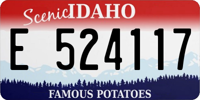 ID license plate E524117