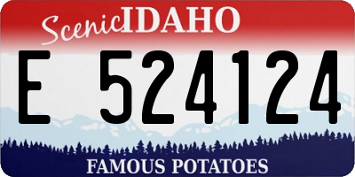 ID license plate E524124