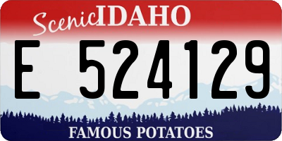 ID license plate E524129