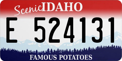 ID license plate E524131