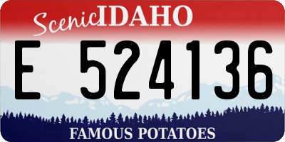 ID license plate E524136