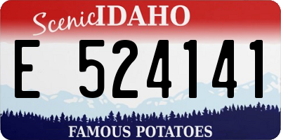 ID license plate E524141