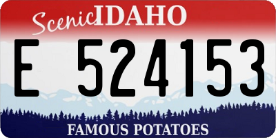 ID license plate E524153