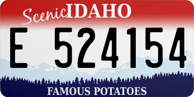 ID license plate E524154
