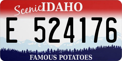 ID license plate E524176