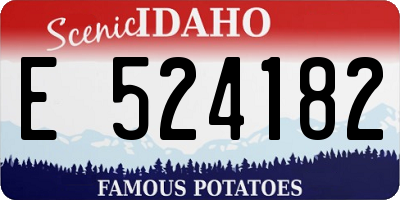 ID license plate E524182