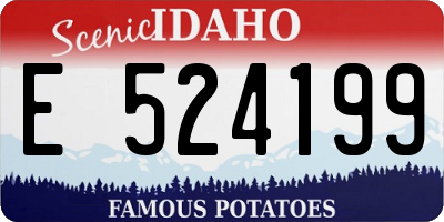 ID license plate E524199