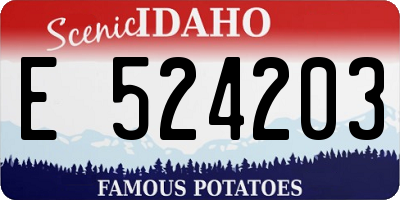 ID license plate E524203
