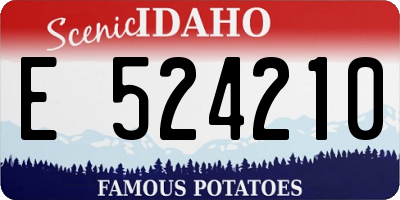 ID license plate E524210