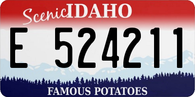 ID license plate E524211