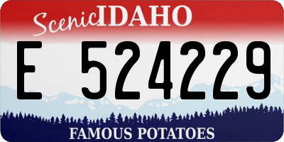 ID license plate E524229