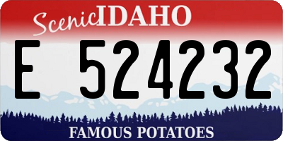 ID license plate E524232
