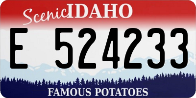 ID license plate E524233