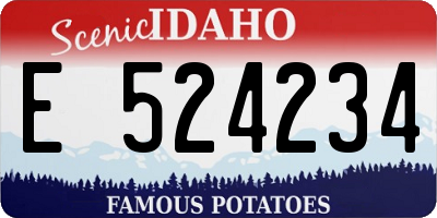 ID license plate E524234