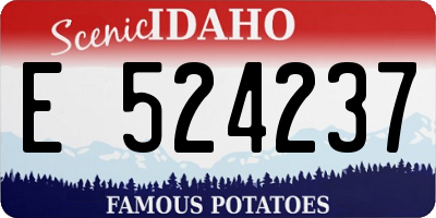 ID license plate E524237