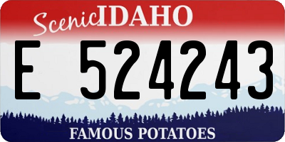 ID license plate E524243