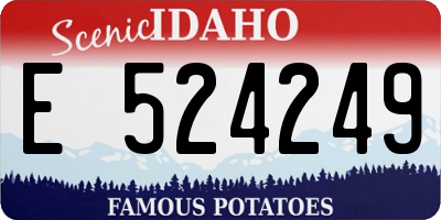 ID license plate E524249
