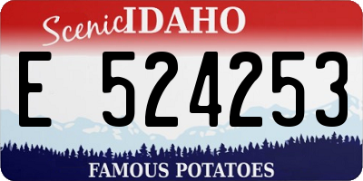 ID license plate E524253