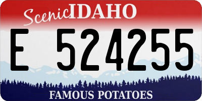 ID license plate E524255