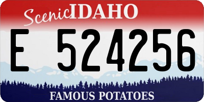 ID license plate E524256