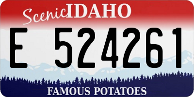 ID license plate E524261