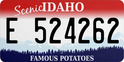 ID license plate E524262