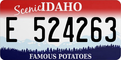 ID license plate E524263