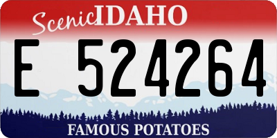 ID license plate E524264