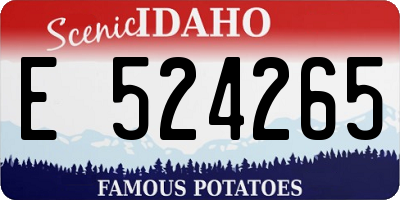 ID license plate E524265