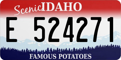 ID license plate E524271