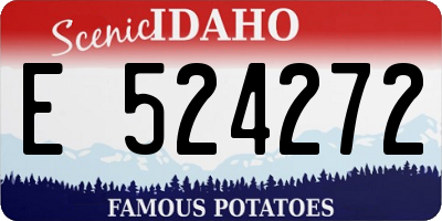 ID license plate E524272