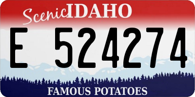 ID license plate E524274
