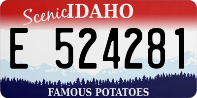 ID license plate E524281
