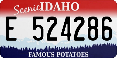 ID license plate E524286
