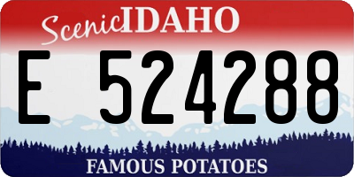 ID license plate E524288
