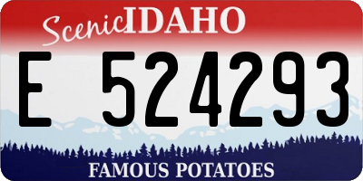 ID license plate E524293