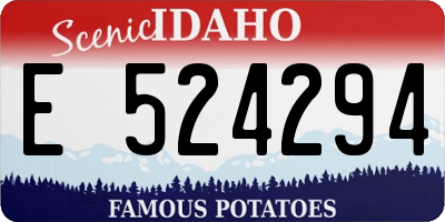 ID license plate E524294