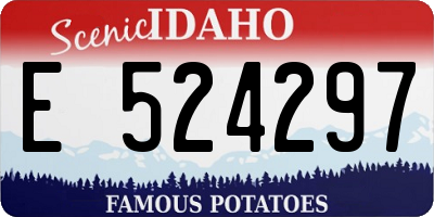 ID license plate E524297